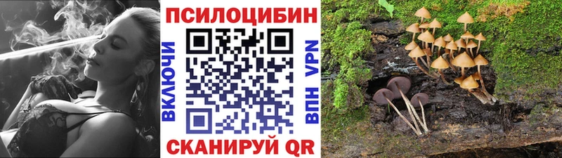 как найти наркотики  KRAKEN онион  Псилоцибиновые грибы GOLDEN TEACHER  Осташков 